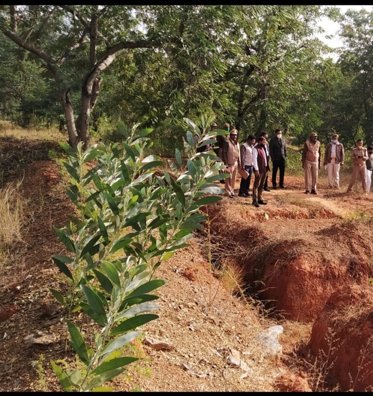 शासन के निर्देश पर अवैध खनन व कागजों पर हुए पौधरोपण की जांच शुरू।