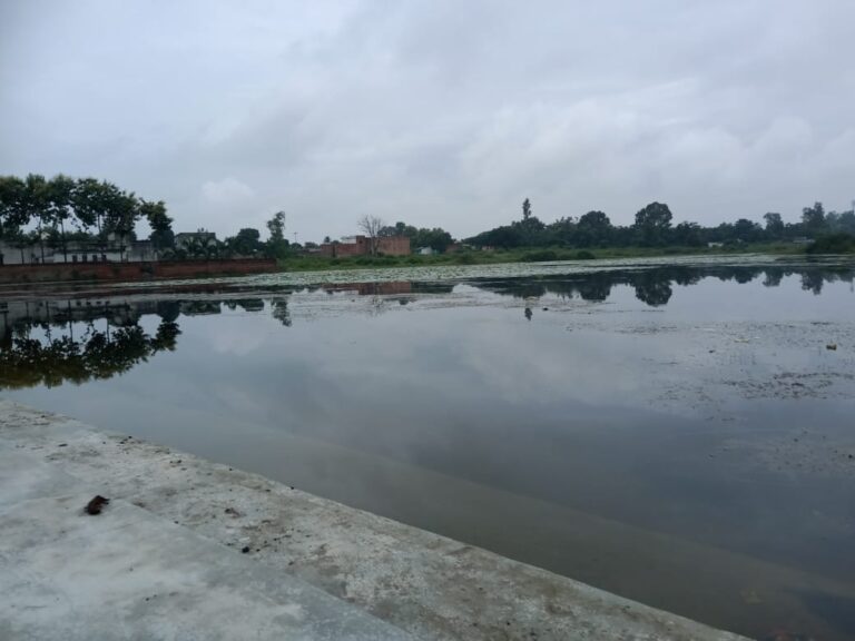 नगर पंचायत दुद्धी का बढ़नी नाला पोखरा उपेक्षा की भेंट चढ़ा,पहली बार दीपावली पर तालाब में जल प्रदूषण के कारण नहीं खिला कमल, शोपीस बना शौचालय।