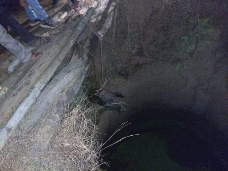 अपडेट–: जंगली सुअरो को देर रात्रि तक रेस्क्यू कर दो को निकाला गया सुरक्षित बाहर एक की हुई मौत।