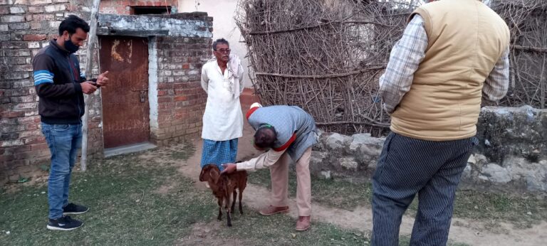 बकरियों के लिए जंगली जानवर बना काल, बकरी पालको ने वन विभाग को कराया अवगत।