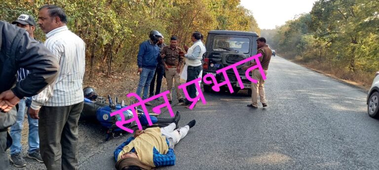 कुत्ते को बचाने में बाइकसवार गिरा, घायल।