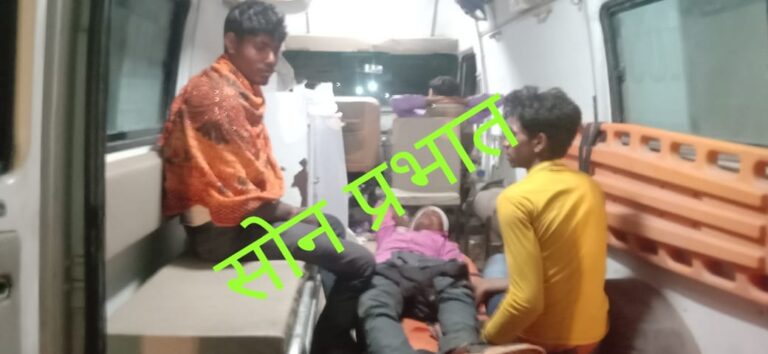 साइकिल सवार को बचाने में ऑटो ने बिजली के पोल में मारी टक्कर , एक घायल