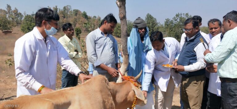 आरोग्य मेले में पशुओं का किया गया उपचार।