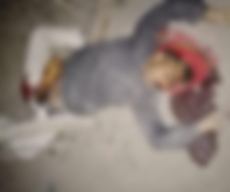 रेलवे लाईन क्रॉस करते समय ट्रेन की चपेट में आने से व्यक्ति की मौत।