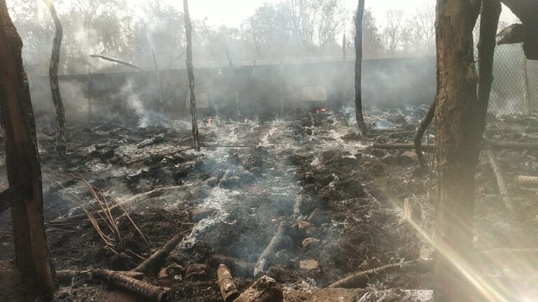 जंगल में लगी आग से पोल्ट्री फार्म में रखे 25 सौ मुर्गे जलकर खाक लगभग 7 लाख से ऊपर का नुकसान।