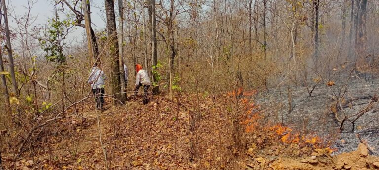 दुद्धी वन रेंज की जंगलों में आग से 5 हेक्टेयर वन प्रभावित।