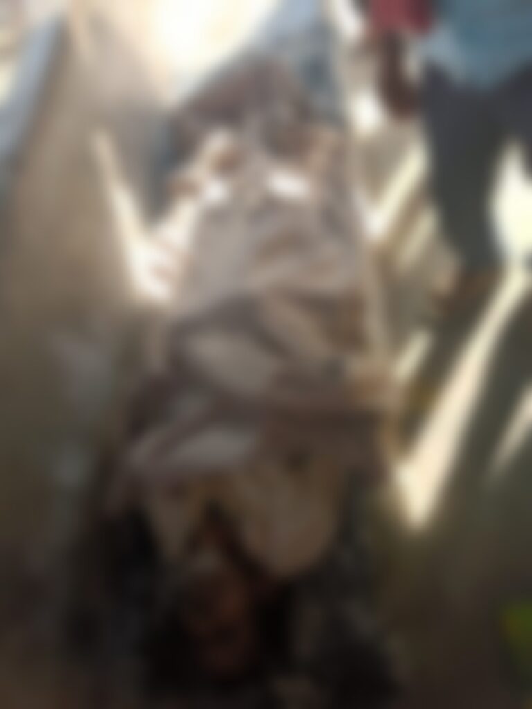 दुःखद-: सार्वजनिक वितरण प्रणाली के कोटेदार किस्मत विश्वकर्मा की मोटरसाइकिल के धक्के से मौत।