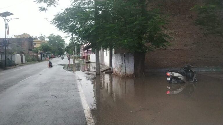 बारिश के साथ आँधी ने मचाया उत्पात,विजली के खम्भा समेत दर्जनो पेड़ हुए धरासाई