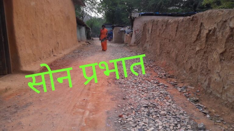 वाराणसी-शक्तिनगर रोड निर्माण होने से पहले ही बना बन्दर बाट का अखाड़ा