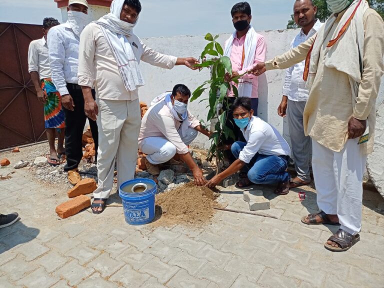 ग्राम प्रधान फुलवार ने विश्व पर्यावरण दिवस पर किया पौधारोपण