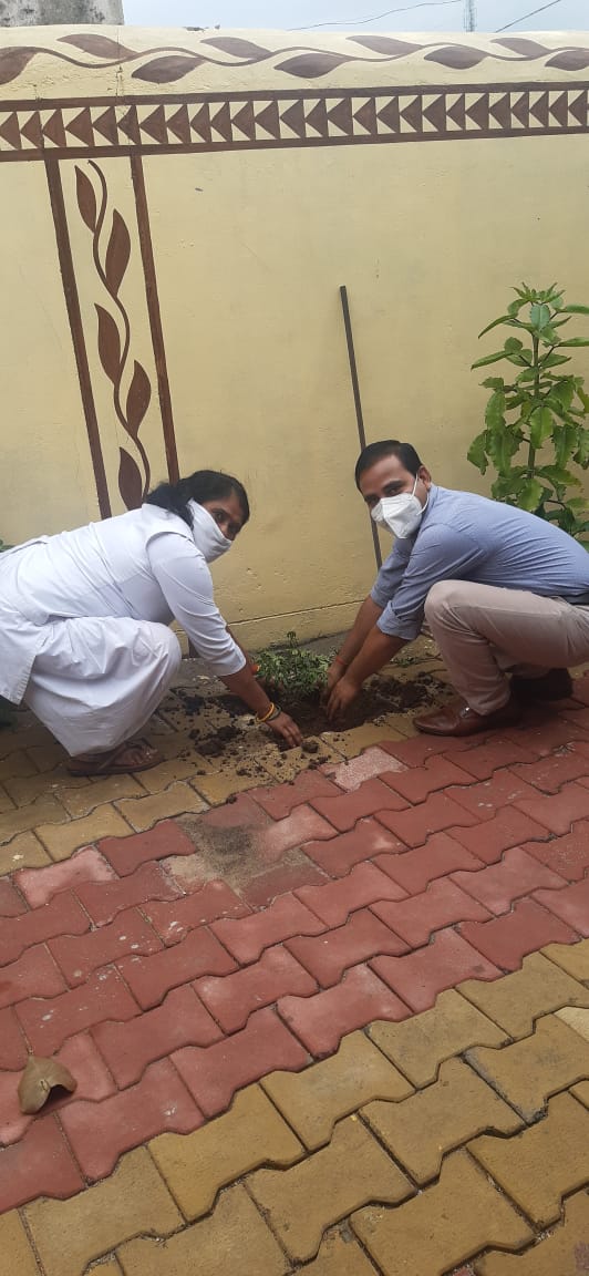 आयुष विभाग ने विश्व पर्यावरण दिवस में रोपित किये आयुर्वेदिक पौधे