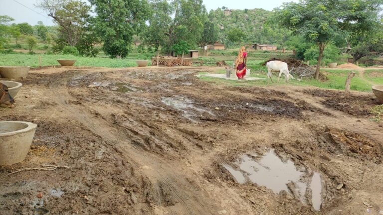 ग्राम जाता जुआ के बघमंधवा से कलिंजर पकरी सीमा तक जाने वाली कच्ची सड़क विगत 15 सालों से विकास की राह देख रही।