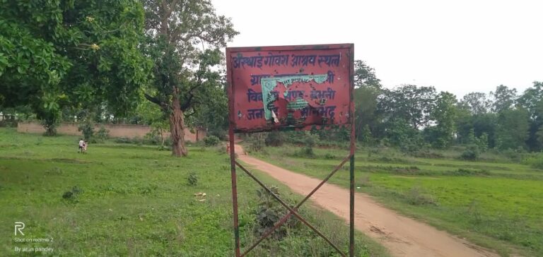 लाखों का सामान उड़ा ले गए चोर, निराश्रित गौआश्रम में हड़कंप