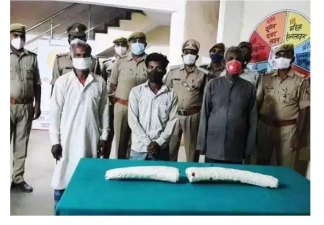 सोनभद्र -: दो हाथी के दांत के साथ पिता पुत्र सहित तीन तस्कर गिरफ्तार।