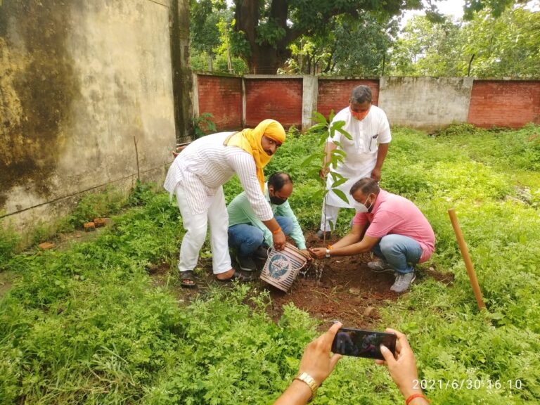 भाजपा मंडल प्रभारी के सानिध्य में भाजयुमो कार्यकर्ताओं ने ब्लॉक परिसर में किया वृक्षारोपण