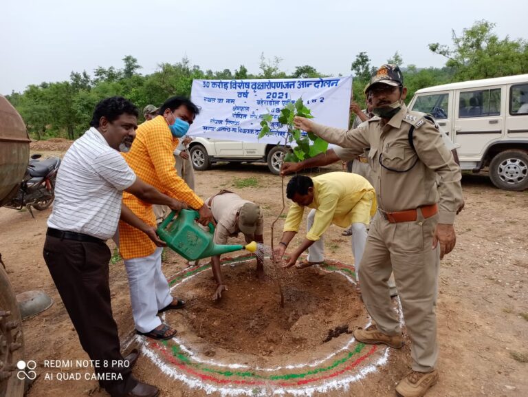 शासन के 30 करोड़ वृक्षारोपण का आगाज -क्षेत्रीय विधायक हरिराम चेरो ने ग्राम बहेराडोल में देव वृक्ष पीपल का पौधा रोपण किया
