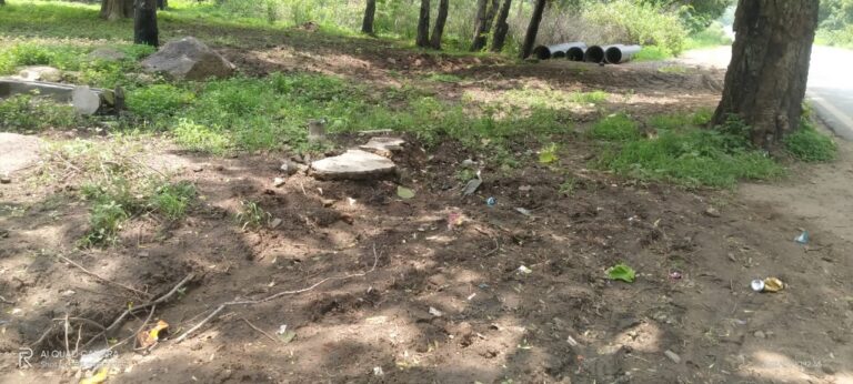 बभनी–दर्जनो लोगों ने किया वन विभाग की जमीन पर अवैध कब्जा, भाजपा युवा मोर्चा अध्यक्ष ने किया शिकायत दर्ज।