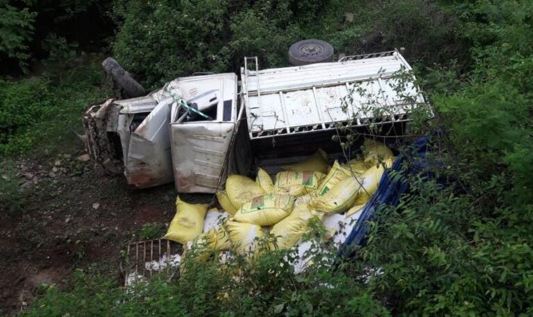 अनियंत्रित होकर पुलिया के नीचे गिरा पिकअप दो घायल।