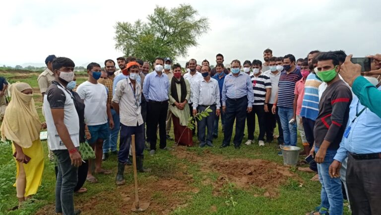 मुक्तिधाम में अंकुर योजना के तहत पांचवें चरण में रोपित किये गए 200 पौधे