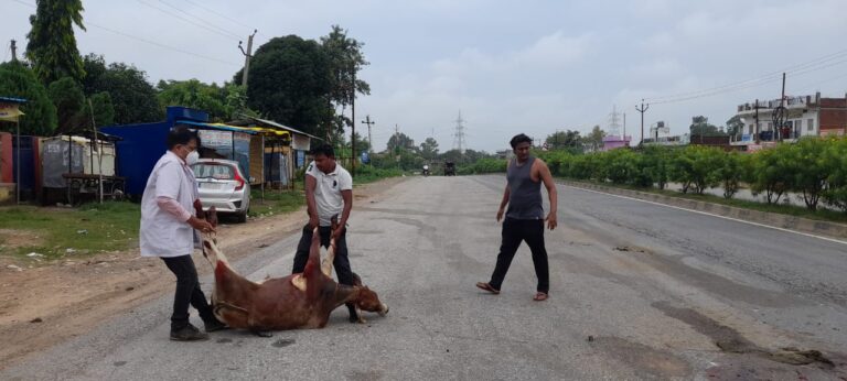 उप जिलाधिकारी शैलेन्द्र मिश्रा जी ने बचायी गाय की जान।