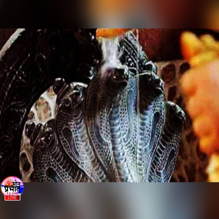 Nag Panchami 2021 – नाग पंचमी में क्या कुछ है खास, कैसे मनाते है गांवो में, सोनभद्र के कई गांव में होता है इस दिन दंगल।