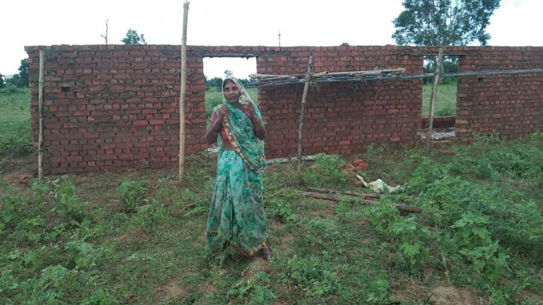 विधवा महिला की जमीन पर पति के मरणोपरांत नातियों ने मृतक दिखा कराया वरासत,कब्जे की नियत से अवैध निर्माण,कार्यवाही की मांग।