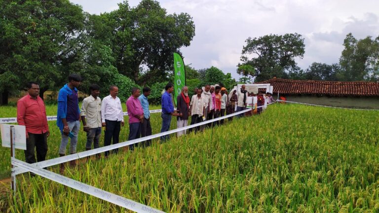 बभनी विकासखंड अंतर्गत फसल प्रदर्शनी का किया गया आयोजन।