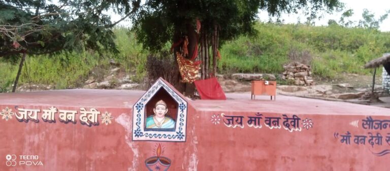 मां वन देवी के भंडारे में उमड़ा जन सैलाब।