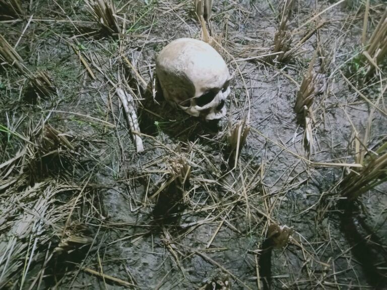 नर कंकाल मिलने से सनसनी, हत्या कर लाश फेके जाने की आशंका।