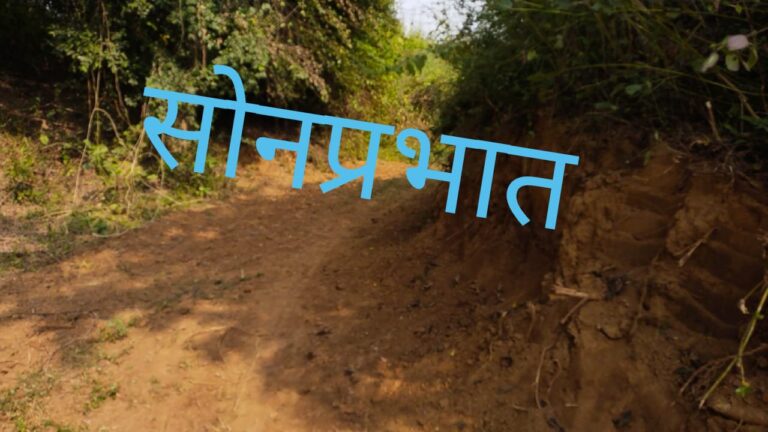 डाला – वन प्रभाग ओबरा अंतर्गत डाला वन रेंज में क्षेत्रीय वनकर्मियों की सह पर कजरहट में अवैध बालू निकालने की तैयारी जोरों पर।