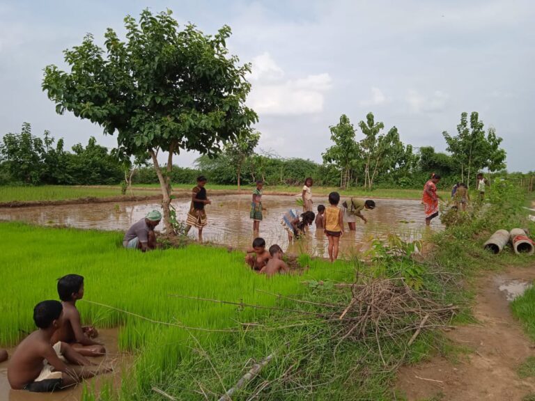प्रकृति संरक्षण – सहोदय ट्रस्ट, के सात बच्चों की एक टीम वनवसीय सेवा आश्रम गोविन्दपुर में शैक्षणिक भ्रमण के लिए आई।
