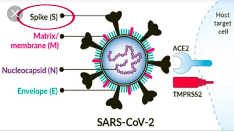 ओमिक्रोंन के खतरे के बीच उत्तर प्रदेश में लगा नाइट कर्फ्यू, शादियों में सिर्फ 200 लोगों को अनुमति।