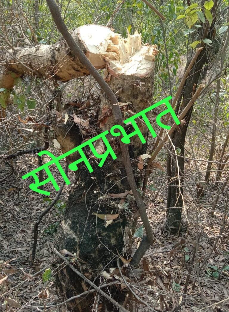 पर्यावरण संरक्षण को बढ़ावा के जगह नष्ट करने पर आमादा हैं…