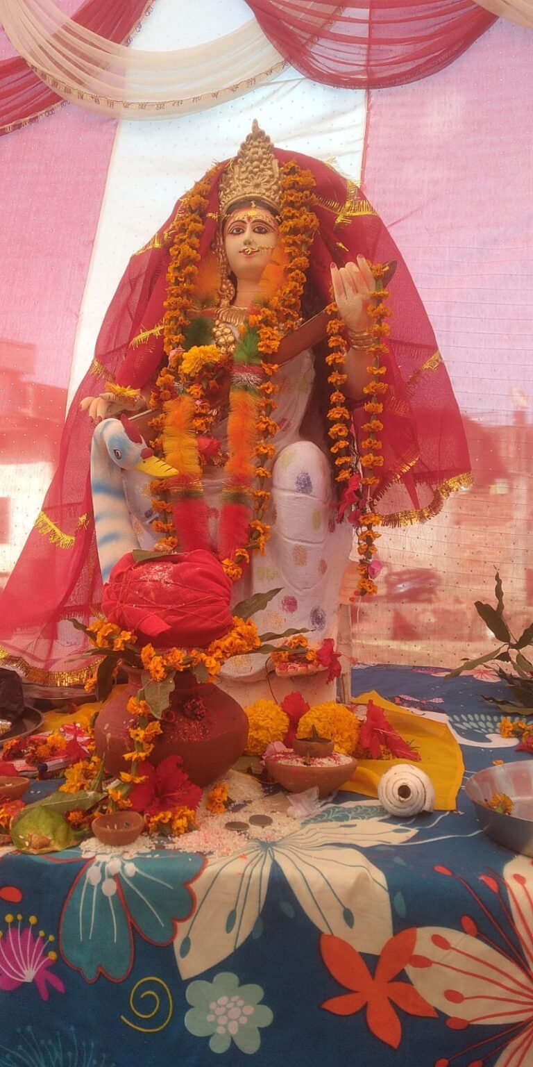 पूरे विधि विधान के साथ पूजी गई विद्या की अधिठास्त्रीय देवी मां सरस्वती, आज होगा विसर्जन।