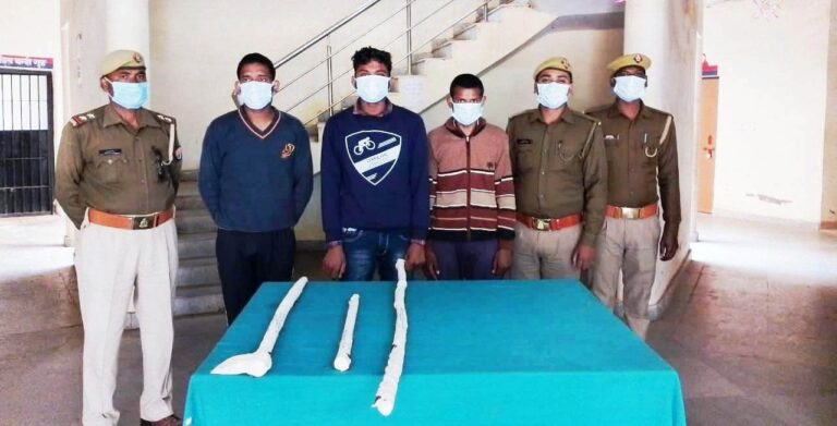 थाना करमा पुलिस द्वारा वांछित 03  अभियुक्तो को किया गया गिरफ्तार।