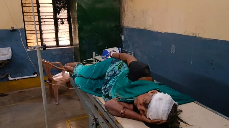 दिघुल मोड़ के पास बाइक अनियंत्रित होकर गिरी,बाइक पर सवार महिला हुई गम्भीर घायल।