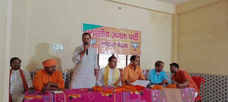 भाजपा मण्डल दुद्धी की कामकाजी बैठक संपन्न।