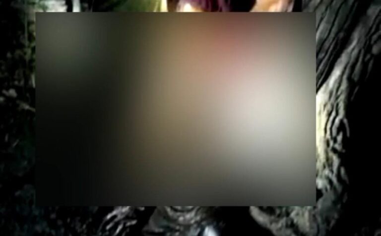 संदिग्ध परिस्थितियों में सड़ी-गली अवस्था मे पेड़ से लटकता मिला अज्ञात महिला का शव।