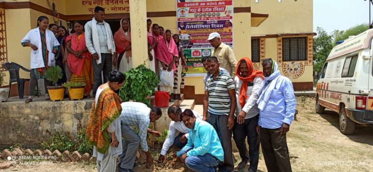 मुख्यमंत्री आरोग्य मेला तथा विश्व पर्यावरण दिवस पर वृक्षारोपण का हुआ आयोजन।
