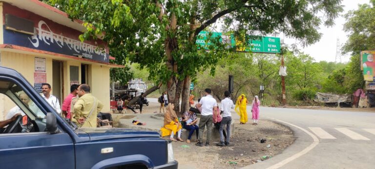 पार्क में मधुमक्खियों के हमले से एक बालक समेत चार घायल।