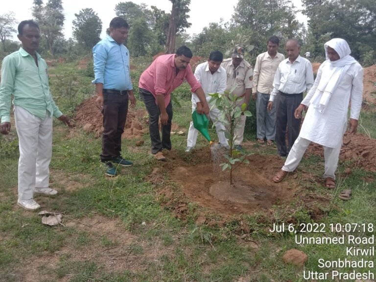 म्योरपुर रेंज क्षेत्र में रोपे जा रहे है एक लाख 42 हजार पौधे।