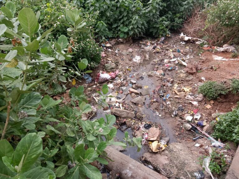 दुद्धी नगर में जगह जगह गंदगी से मच्छरों की भरमार,लोग परेशान।