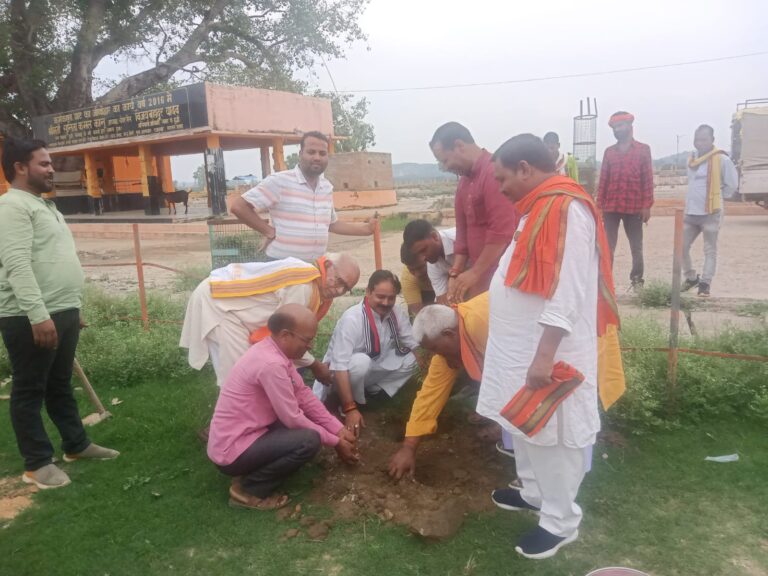 लोकतंत्र सेनानी स्वर्गीय डॉ राजकिशोर सिंह व महादेव सिंह की स्मृति में भाजपा जिला अध्यक्ष अजीत चौबे ने किया वृक्षारोपण।
