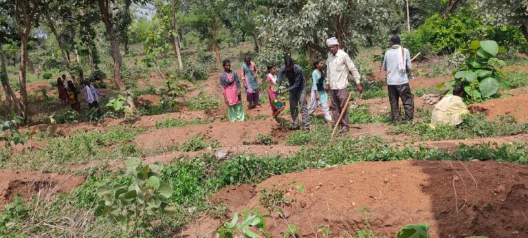 वन कर्मियों संग ग्राम वन समिति के लोगो ने पौध रोपण कर लिया संरक्षण का संकल्प।