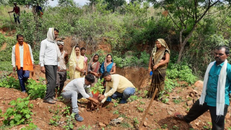 स्वर्गीय श्यामा प्रसाद मुखर्जी के शहादत एवं जन्मोत्सव पखवारा दिवस पर ग्राम प्रधान नें वृक्षारोपण किया संचारी रोगों की रोकथाम के लिए किया जागरूक।