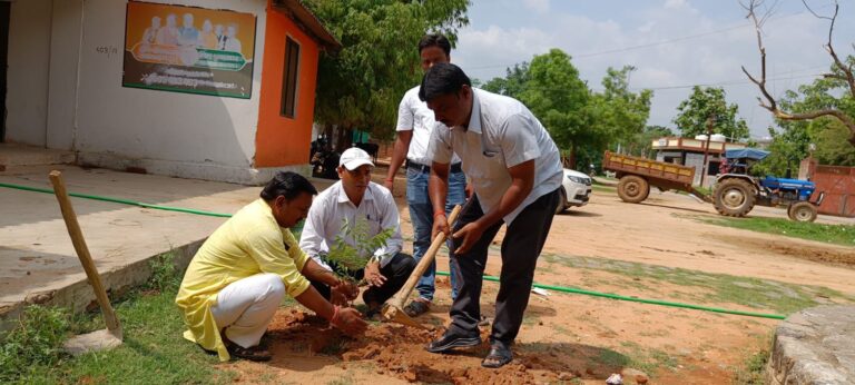 डीसीएफ परिसर में किया गया वृक्षारोपण।