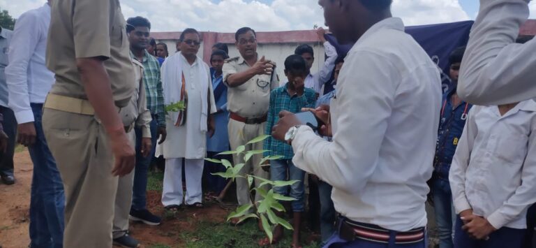 क्षेत्रीय वन अधिकारी बघाडू रूप सिंह नें वन महोत्सव एवं वृक्षारोपण जन आंदोलन के तहत राजकीय हाई स्कूल दिघुल में वृक्षारोपण किया।