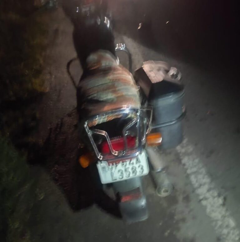 नीलगाय से बाइक सवार टकराने से दो व्यक्ति हुए चोटिल।