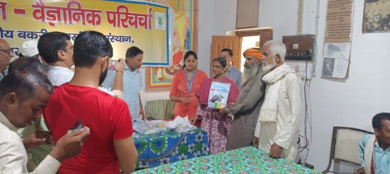 केंद्रीय बकरी अनुसंधान देशी बकरियों पर करेंगी रिसर्च