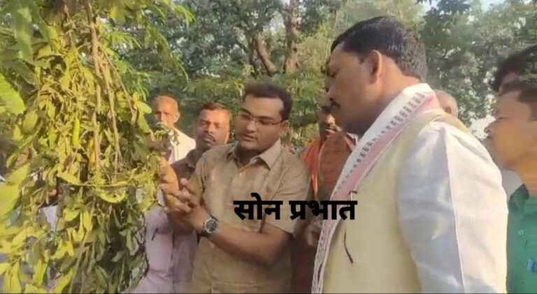 क्षेत्रीय विधायक ने राजकीय रेशम फार्म का किया स्थलीय निरीक्षण